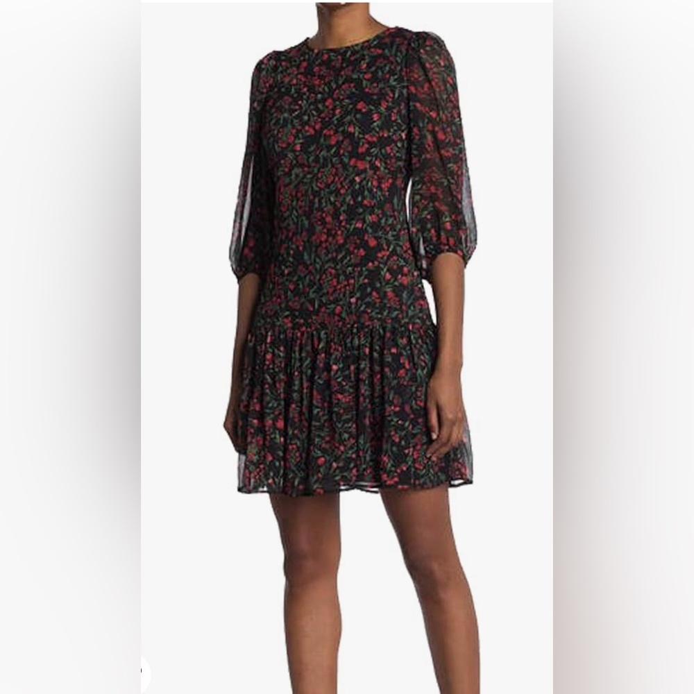 Calvin Klein Women's Three Quarter Sleeve Dress with Flutter Hem Size 2